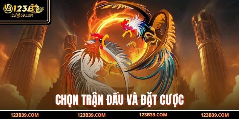 Chọn trận đấu và đặt cược