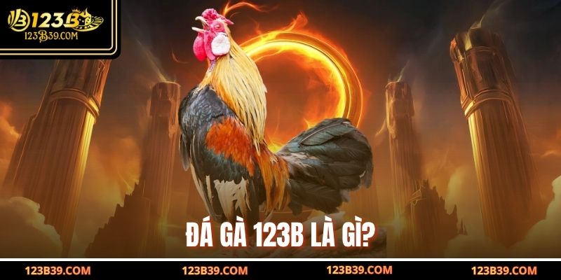 Đá gà 123b là gì?