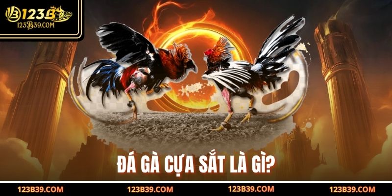 Đá gà cựa sắt là gì?