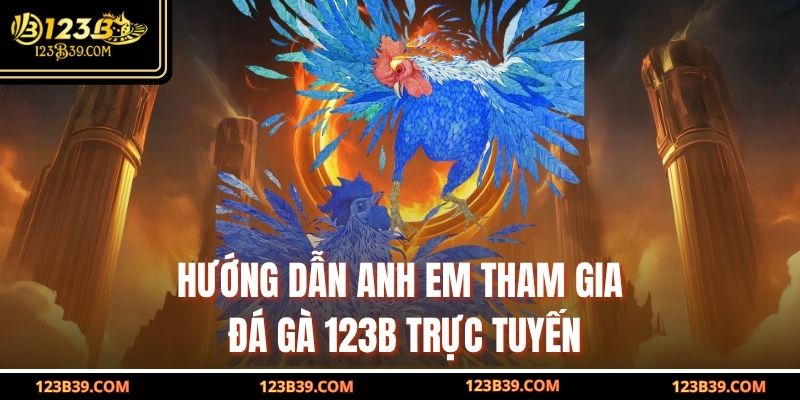 Hướng dẫn anh em tham gia đá gà 123b trực tuyến