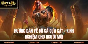 Hướng Dẫn Về Đá Gà Cựa Sắt – Kinh Nghiệm Cho Người Mới