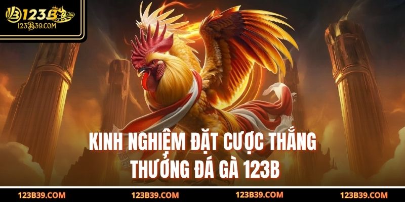 Kinh nghiệm đặt cược thắng thưởng đá gà 123b