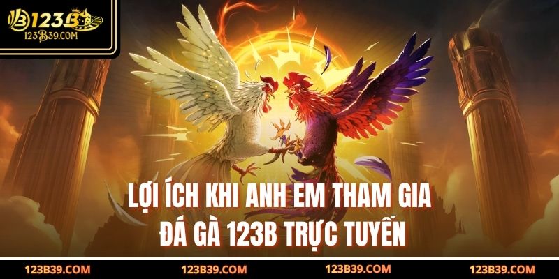 Lợi ích khi anh em tham gia đá gà 123b trực tuyến