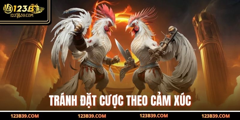 Tránh đặt cược theo cảm xúc